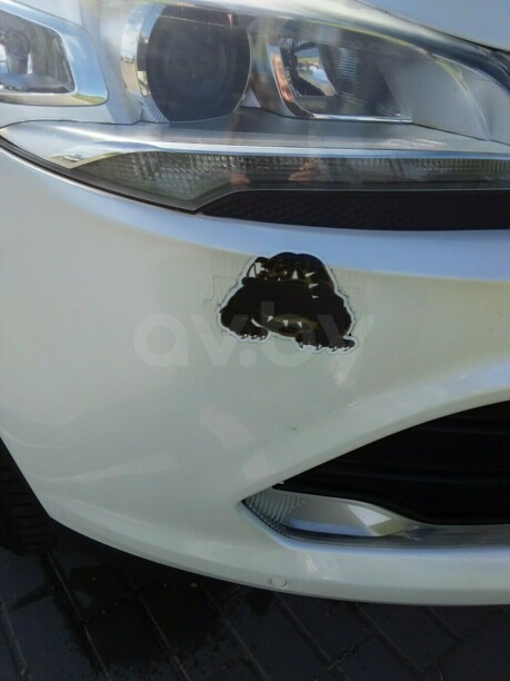 Ford Kuga II, 2013 г.