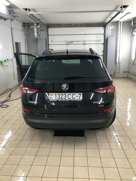Skoda Kodiaq, 2019 г.