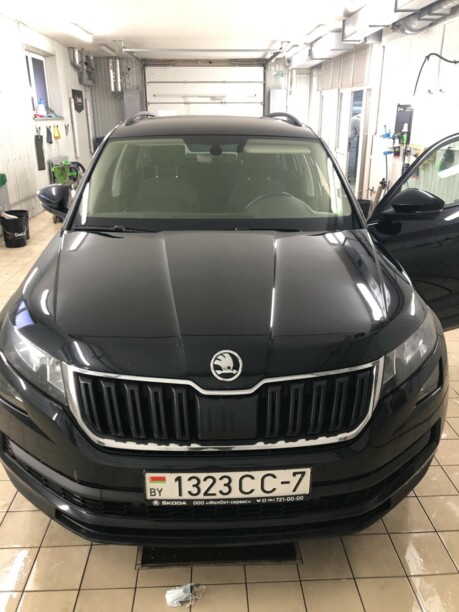 Skoda Kodiaq, 2019 г.