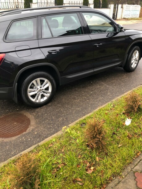 Skoda Kodiaq, 2019 г.