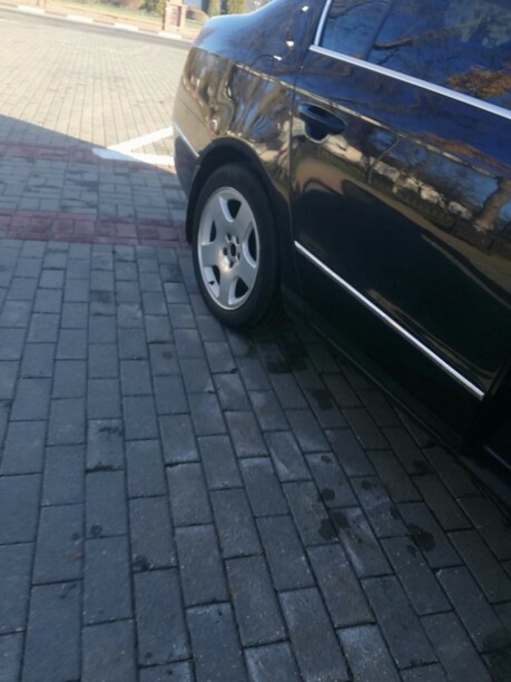 Volkswagen Passat B6, 2008 г.