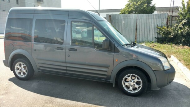 Ford Tourneo Connect I, 2008 г.