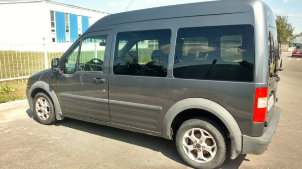 Ford Tourneo Connect I, 2008 г.