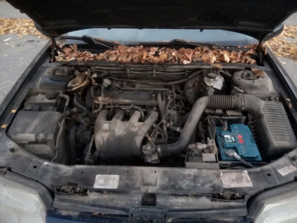 Peugeot 605 I · Рестайлинг, 1999 г.