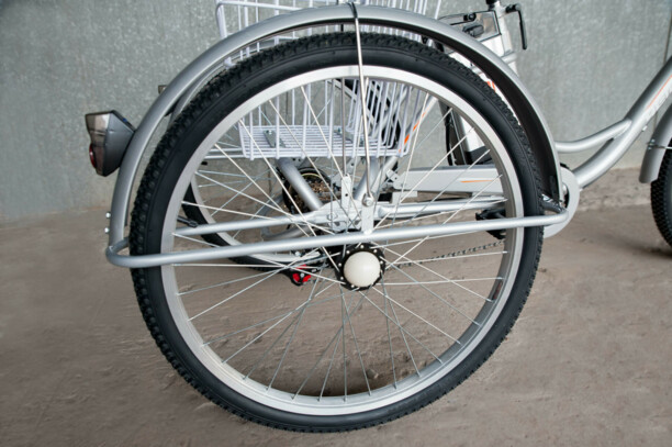 Эксклюзив Редкая модель Trike, 2021 г.