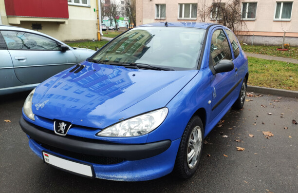 Peugeot 206 I, 2004 г.