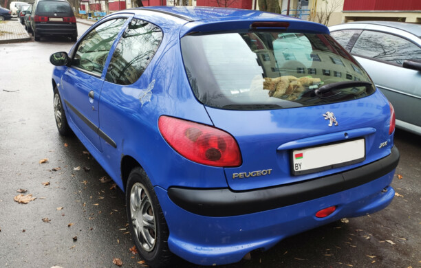 Peugeot 206 I, 2004 г.