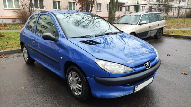 Peugeot 206 I, 2004 г.
