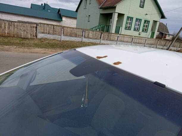 Fiat Linea, 2009 г.