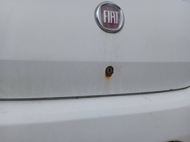 Fiat Linea, 2009 г.