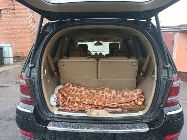 Mercedes-Benz GL-Класс X164, 7 мест, 2008 г.