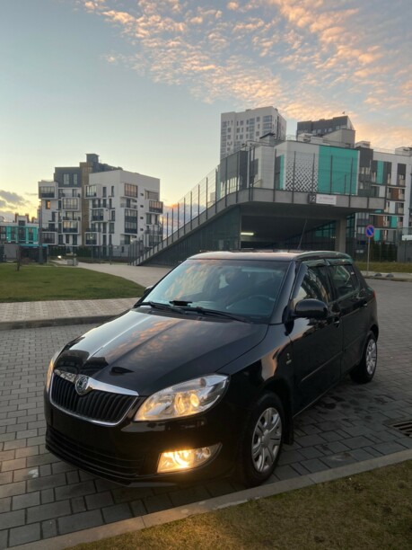 Skoda Fabia 5J · Рестайлинг, 2010 г.