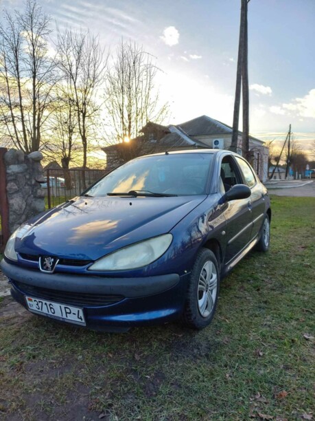 Peugeot 206 I, 2001 г.