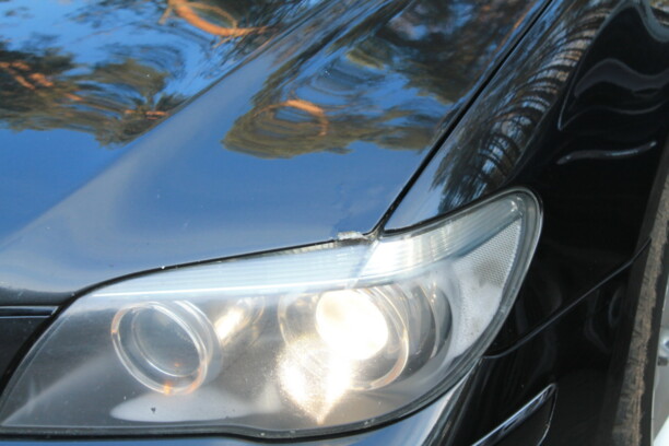 BMW 7 серия E66 (Long), 2007 г.