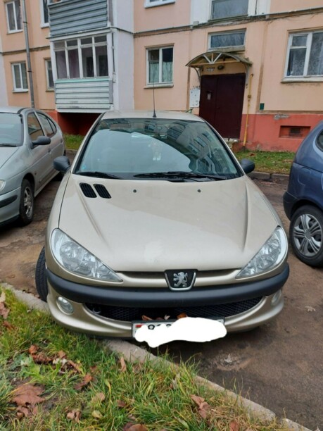 Peugeot 206 I, 2007 г.