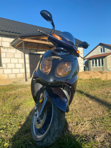 Hors Z 152, 2009 г.