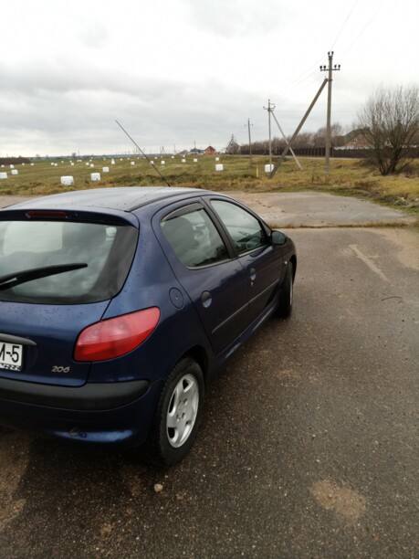Peugeot 206 I, 2001 г.