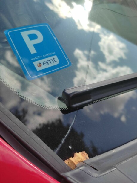 Nissan Primera P12, 2006 г.