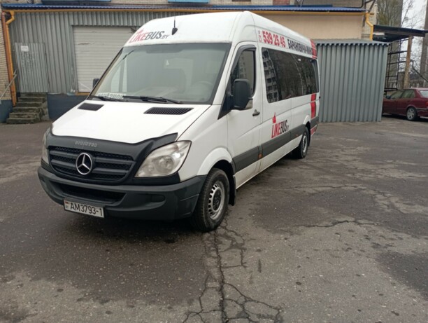 Mercedes-Benz Sprinter 906, 2010 г.