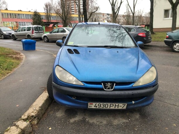 Peugeot 206 I, 2004 г.