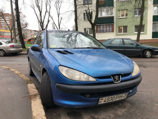 Peugeot 206 I, 2004 г.