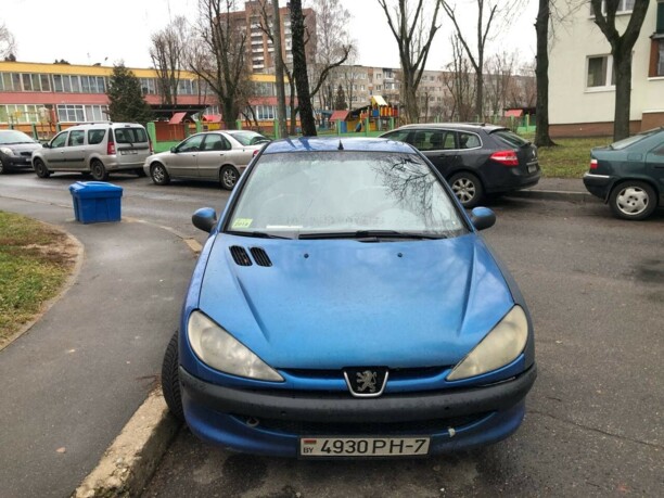 Peugeot 206 I, 2004 г.