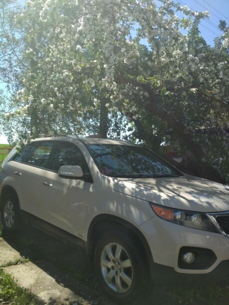 Kia Sorento II, 2010 г.