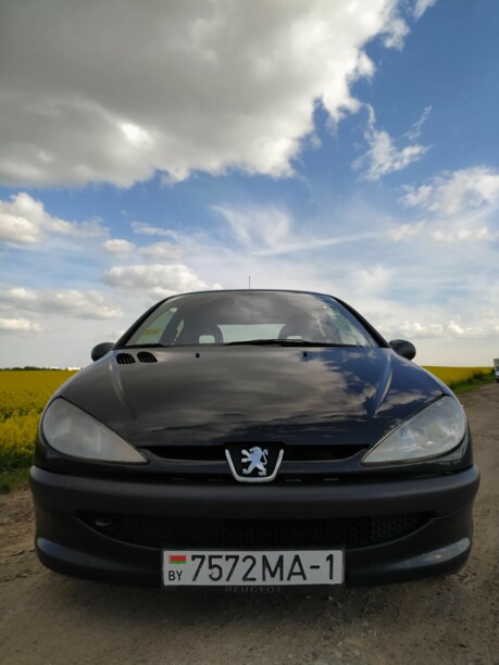 Peugeot 206 I, 2003 г.
