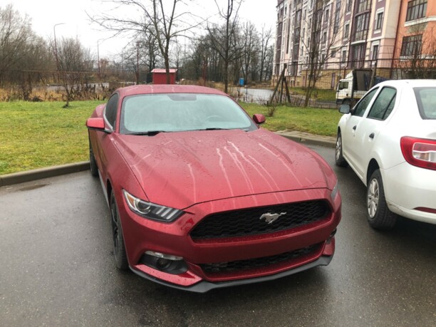 Ford Mustang VI, 2017 г.