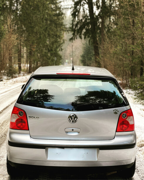 Volkswagen Polo IV, 2002 г.