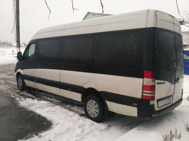 Mercedes-Benz Sprinter 313, 2008 г.