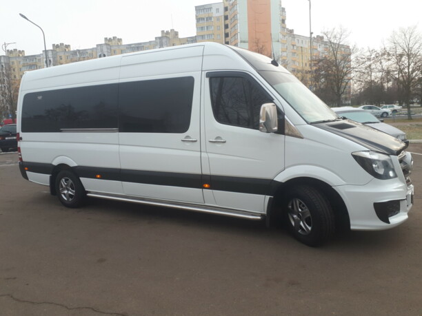 Mercedes-Benz Sprinter, 2010 г.