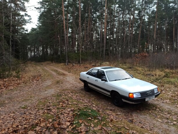 Audi 100 С3, 1984 г.