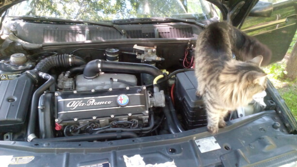 Alfa Romeo 155 167, 1994 г.