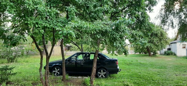 Alfa Romeo 155 167, 1994 г.