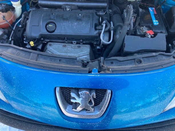 Peugeot 207 I, 2007 г.