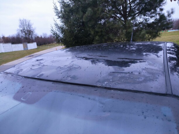 Fiat Grande Punto, 2010 г.