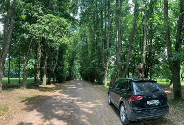 Volkswagen Tiguan II, 2018 г.