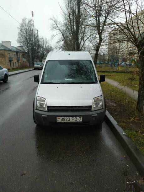 Ford Tourneo Connect I, 2004 г.