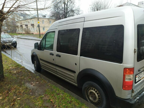 Ford Tourneo Connect I, 2004 г.
