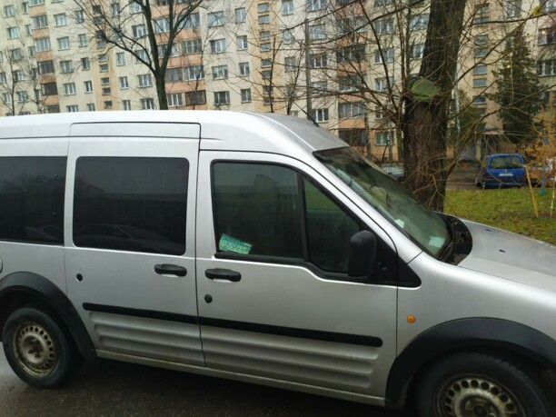 Ford Tourneo Connect I, 2004 г.