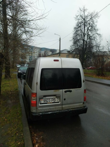 Ford Tourneo Connect I, 2004 г.