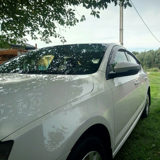 Skoda Octavia III, 2013 г.