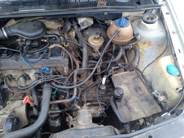 Volkswagen Vento, 1995 г.