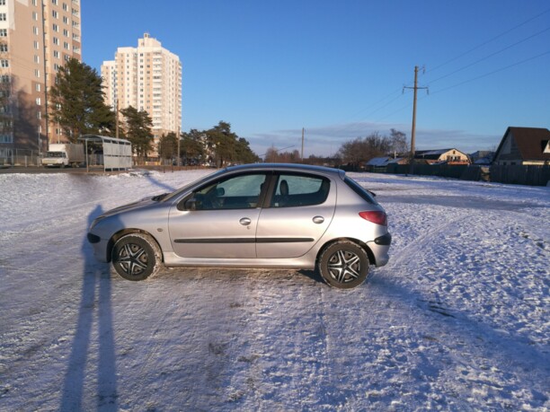 Peugeot 206 I, 2004 г.