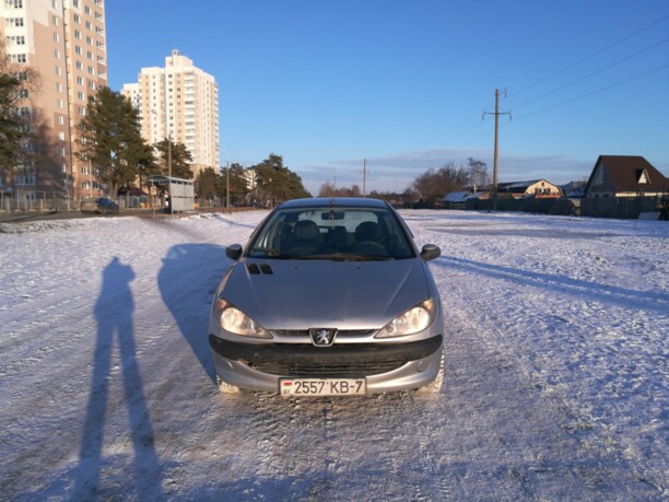 Peugeot 206 I, 2004 г.