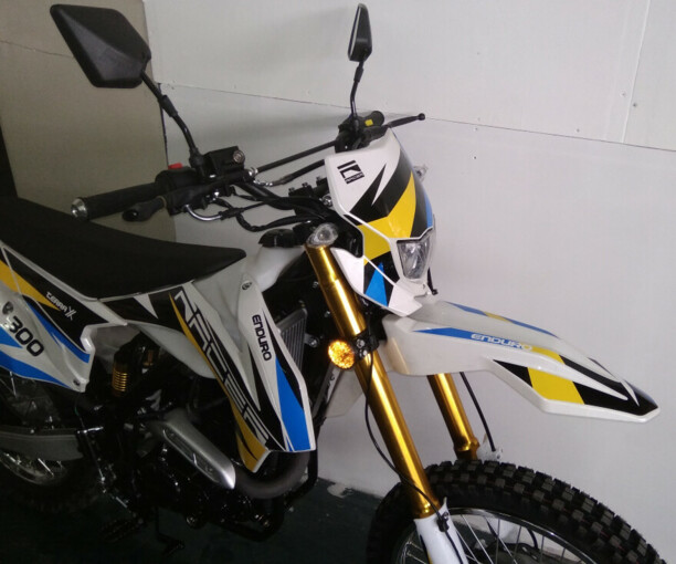Racer Enduro RC300-GY8A, 2021 г.