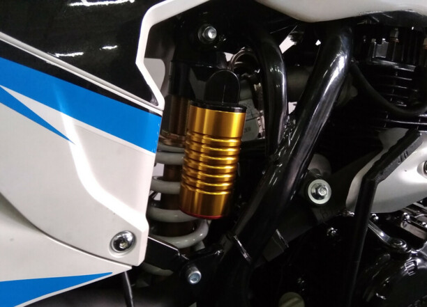 Racer Enduro RC300-GY8A, 2021 г.