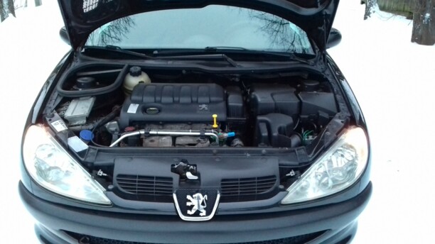 Peugeot 206 I, 2004 г.