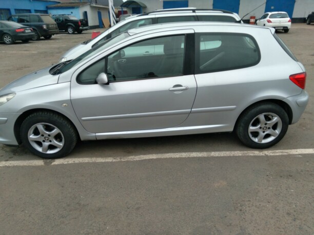 Peugeot 307 I · Рестайлинг, 2006 г.